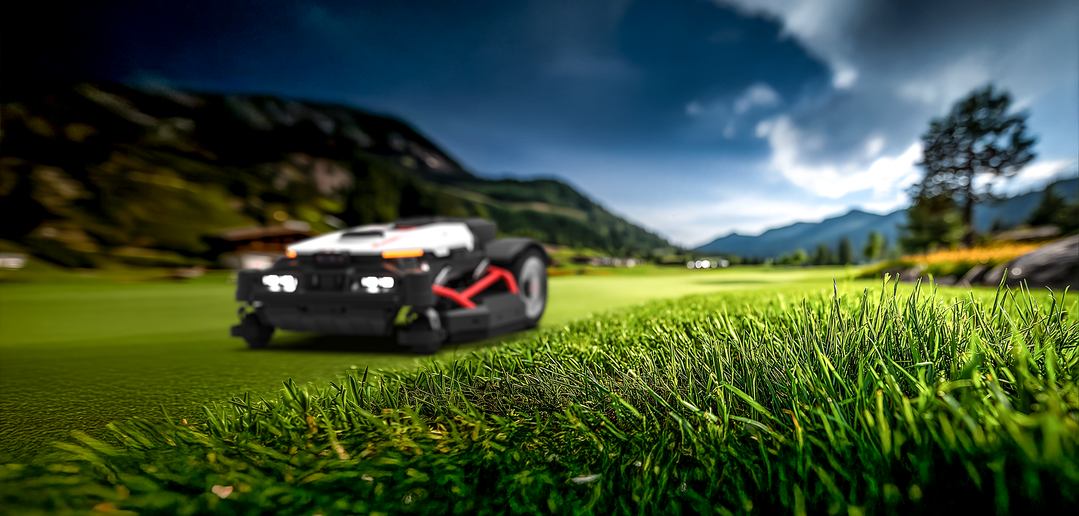 healt grass 1